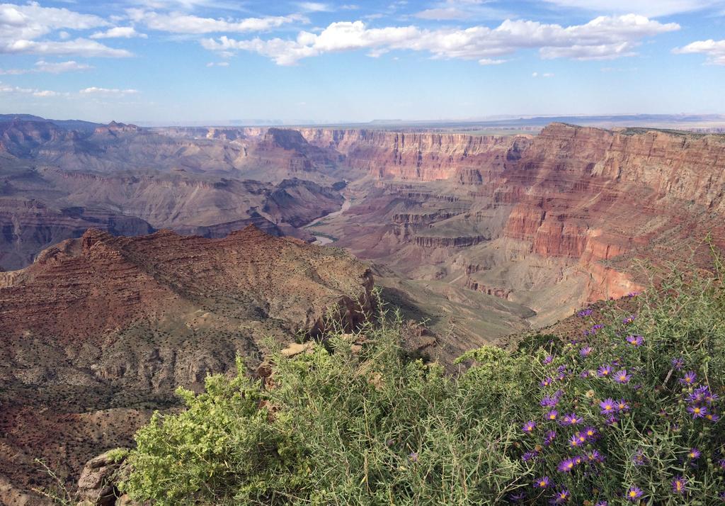 Grand Canyon Plaza Hotel Tusayan Esterno foto
